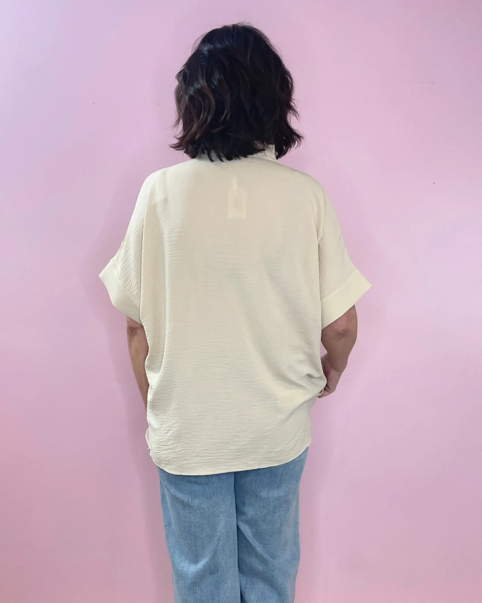 Chic Ease V-Neck Blouse (two colors)